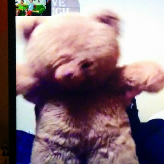 La tía @meeridelap cantando el cumpleaños feliz imitando a un oso por Videoconferencia