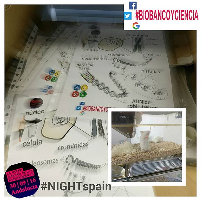 Ya estamos listos para la #NIGHTspain. #ciencia #eventos #Granada