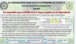 Estudio de la Sociedad Española de Virología demostrando la no procedencia del virus por manipulación genética.