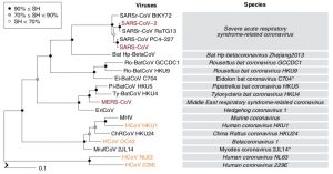 Arbol filogenético de Betacoronavirus.